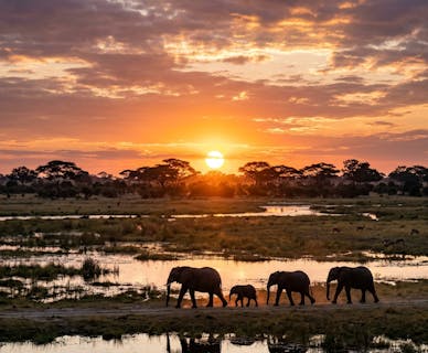Why Botswana?