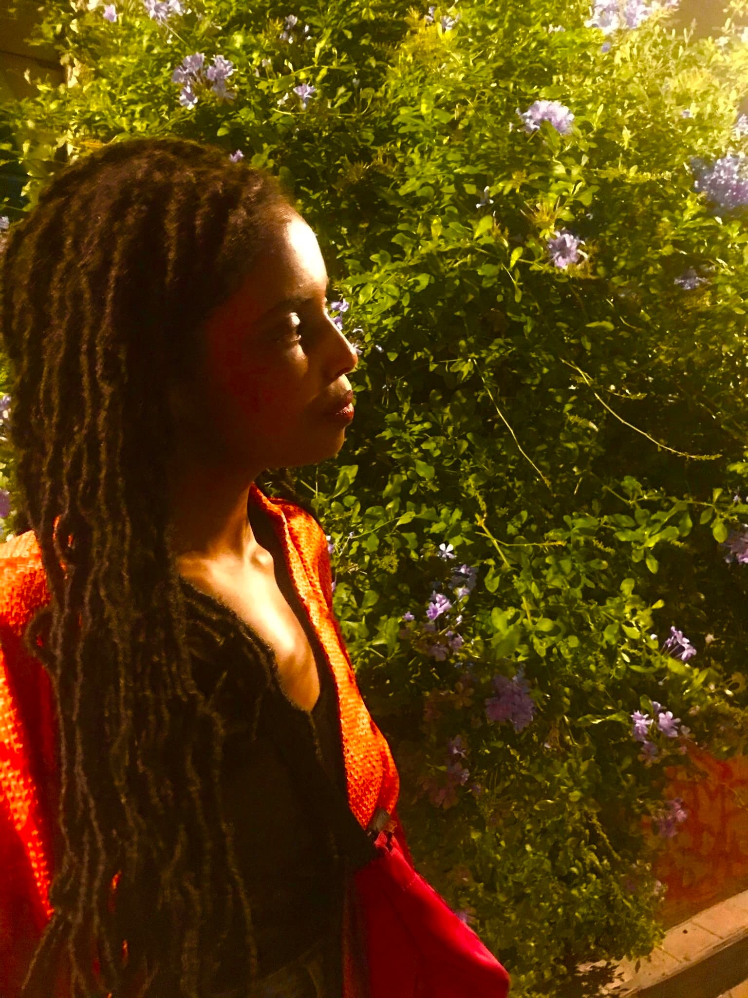 The Garden Is Open: Hodan Styrene