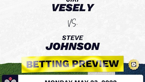 Jiri Vesely vs. Steve Johnson Predictions - May 24, 2022