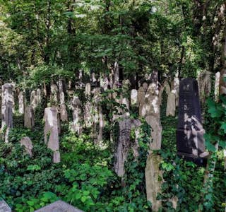 Where Time Stopped: Forgotten Jewish Cemetery's gallery image