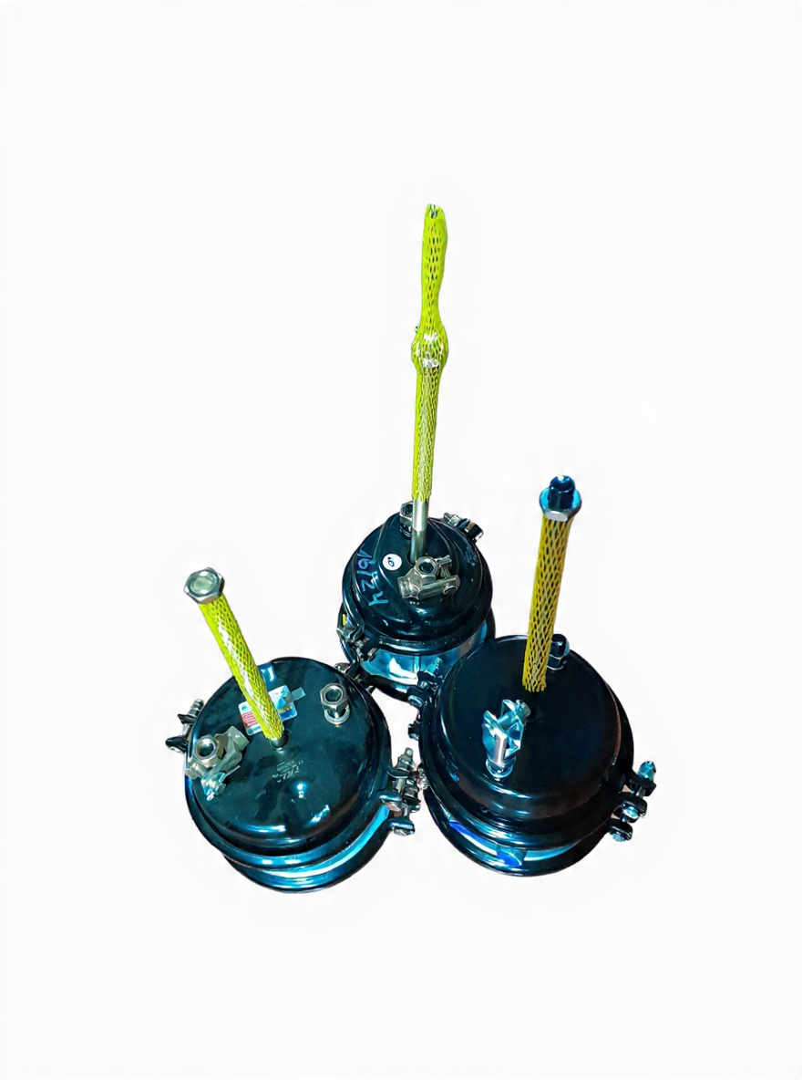 PULMON DE FRENO DOBLE