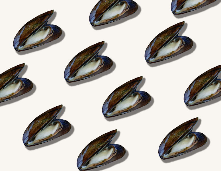 Muscles seafood on white background