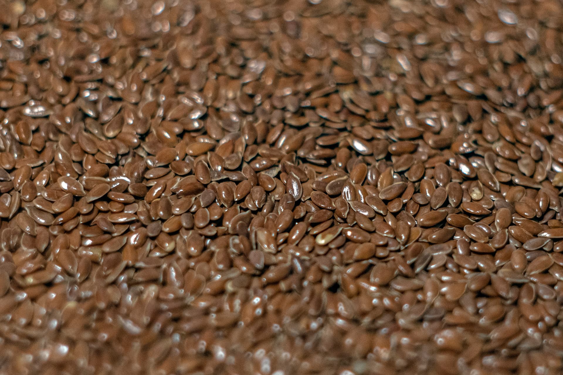 Seeds image