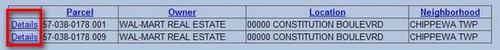 Results of assessment property search with Details highlighted