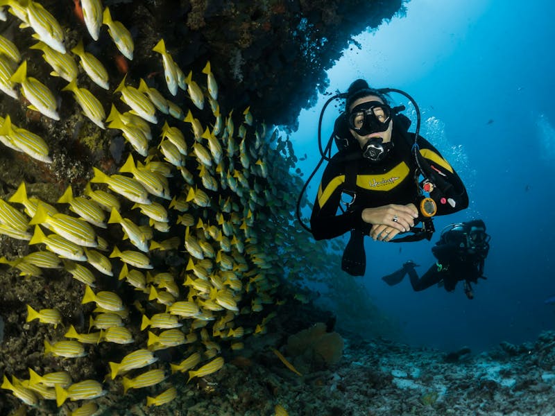 Bukit Peninsula: Bali's Best Dry-Season Breaks