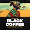 Black Coffee Tulum 2026 @ Zamna Festival Tulum