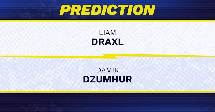 Liam Draxl vs Damir Dzumhur Tennis Prediction.