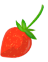 fresa