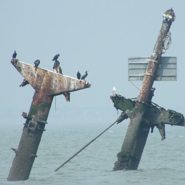 Shipwrecks in the Thames's main gallery image