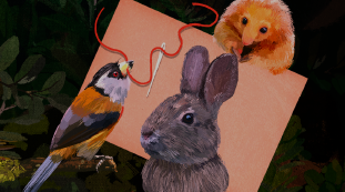 Taller para familias: bordando especies nativas de Colombia