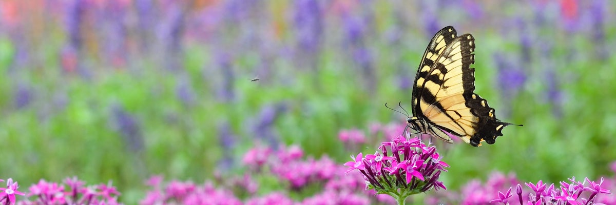 undefined's banner image