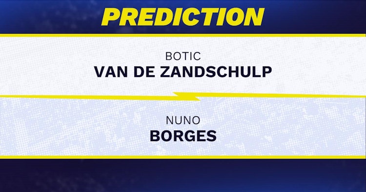 Botic Van de Zandschulp vs Nuno Borges Tennis Prediction.