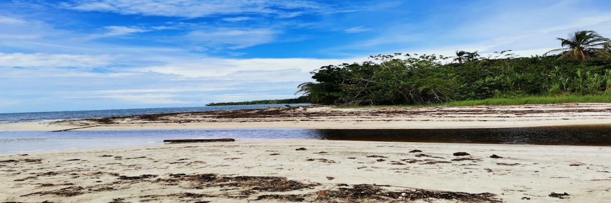 undefined's banner image