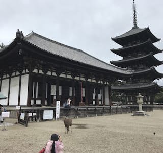 Nara Todaiji Temple Tour's gallery image
