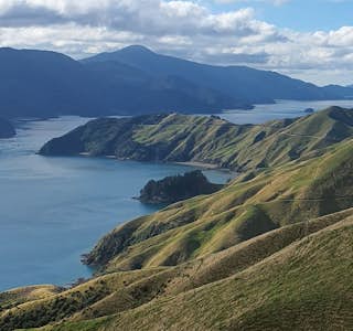 All About New Zealand's gallery image