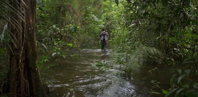 7 reasons to visit The Amazon