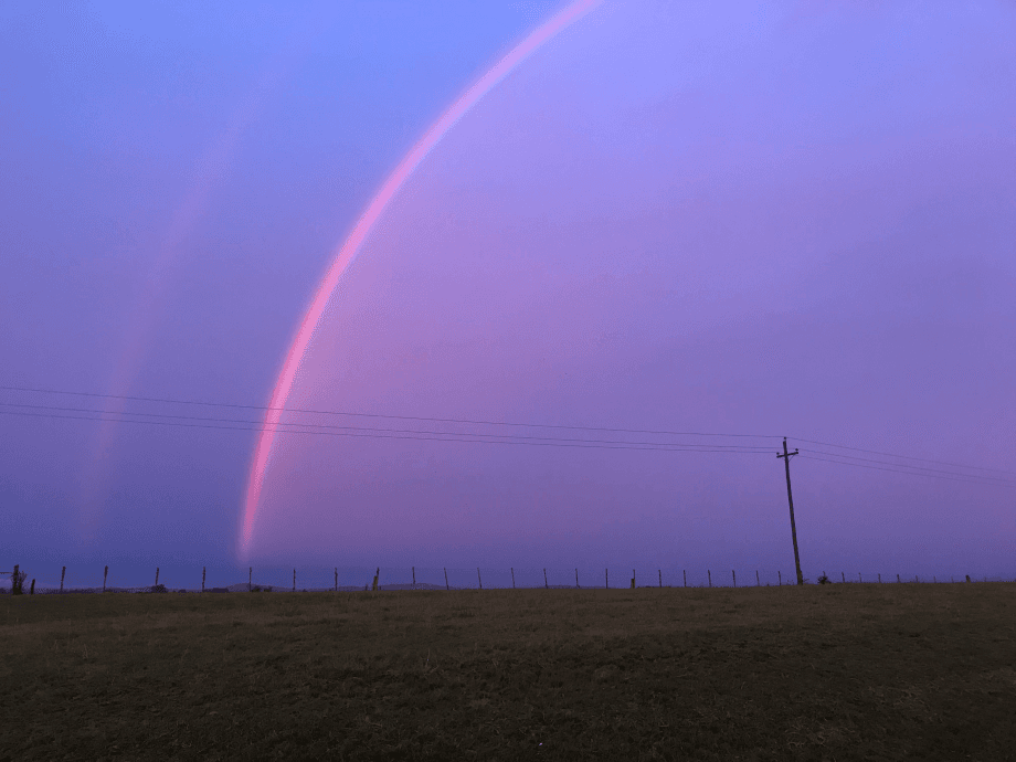 Spectrums with Cosmo Sofi