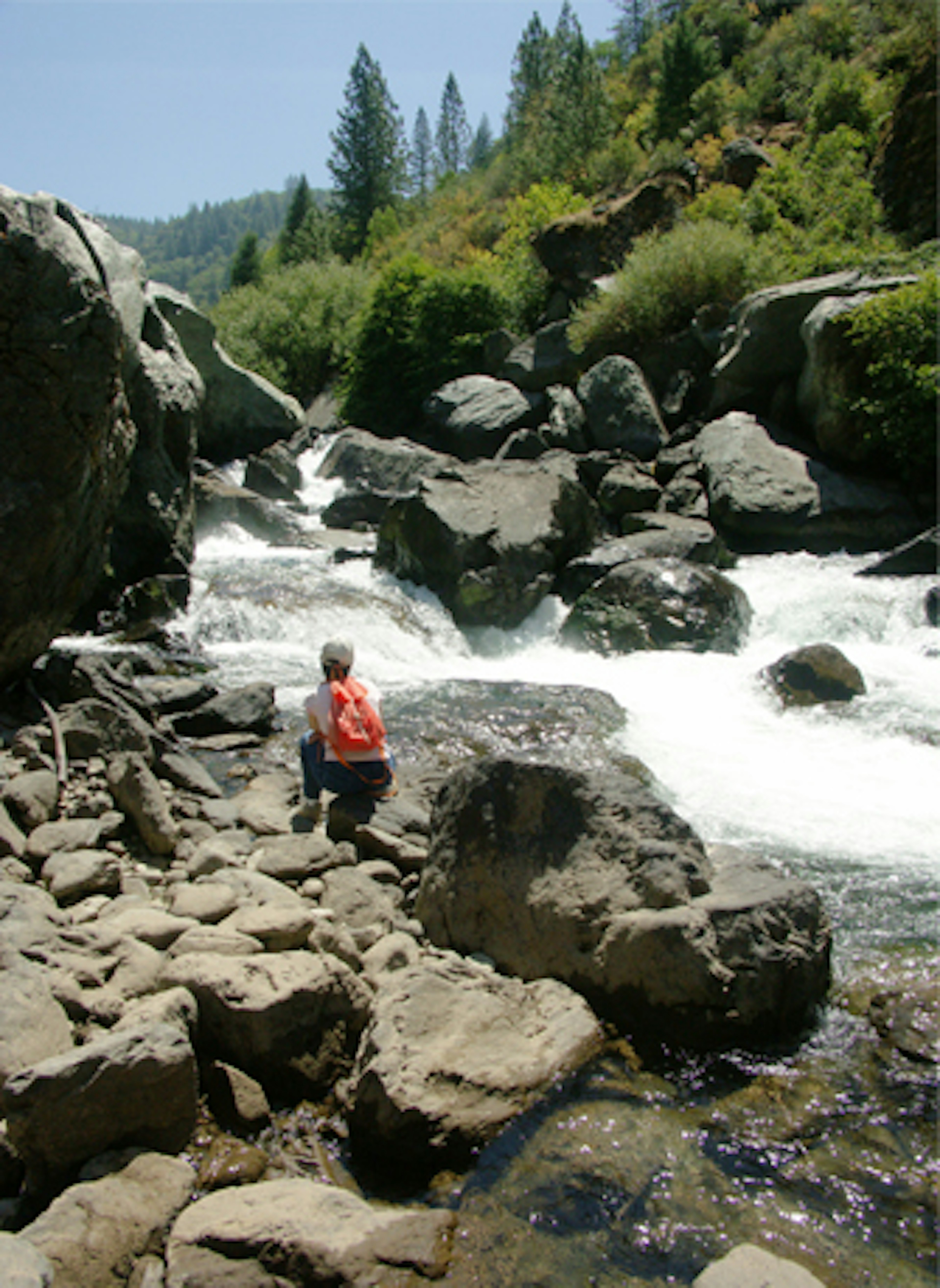 Woman observing the Middle Fork of the American River