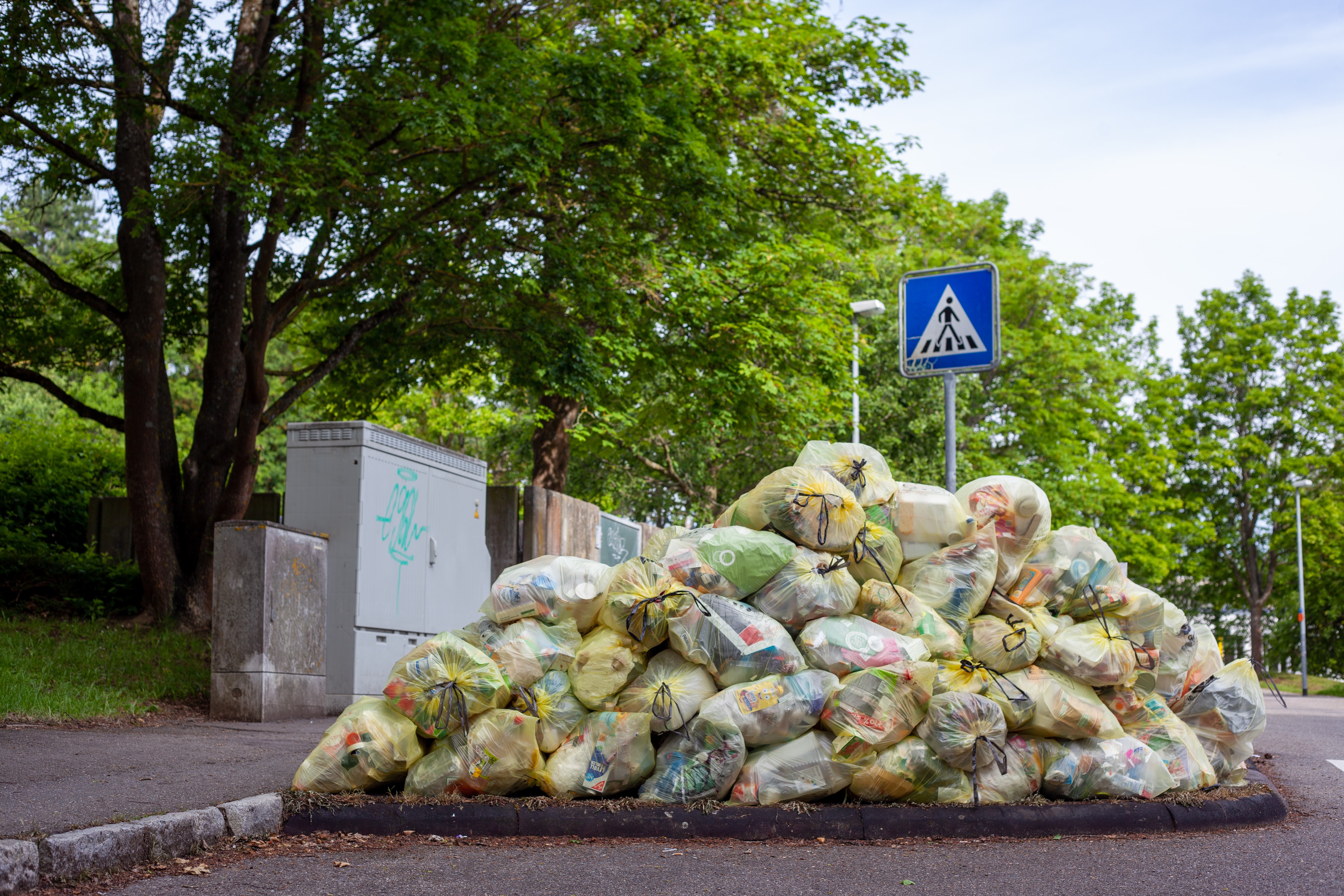 5 Food Waste Solutions for Your Produce Business