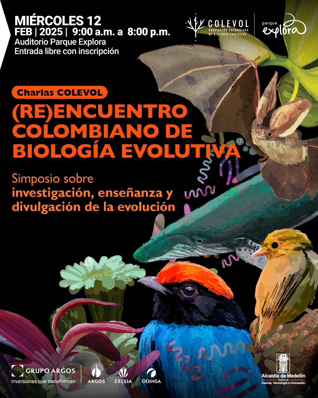 Afiche digital con fondo negro y una ilustración colorida de fauna y flora. En la parte superior izquierda, en blanco: «Miércoles doce de febrero de dos mil veinticinco, de nueve de la mañana a ocho de la noche. Auditorio Parque Explora. Entrada libre con inscripción». En el centro, un título en letras naranjas: «Charlas Colevol (Re)encuentro colombiano de biología evolutiva». Debajo, en amarillo: «Simposio sobre investigación, enseñanza y divulgación de la evolución». En la parte inferior, ilustraciones de un murciélago, dos aves coloridas, una ballena y elementos botánicos y microscópicos.