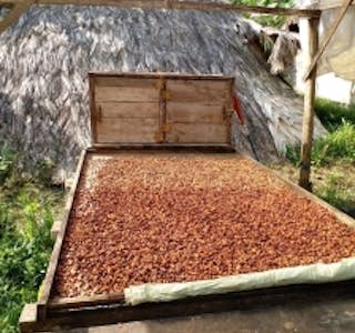 Chocolate Making with an Indigenous Tribe's gallery image