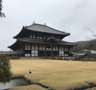 Nara Todaiji Temple Tour's gallery image