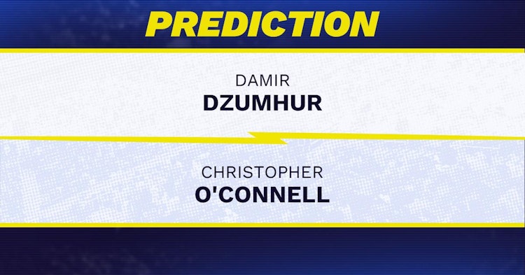 Damir Dzumhur vs Christopher O'Connell Tennis Prediction.