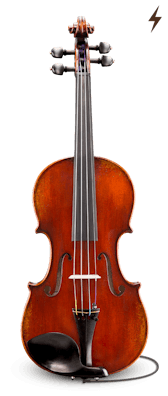 Electro Acoustic VL501-EAV