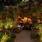 Tora's ambience inside the jungle.