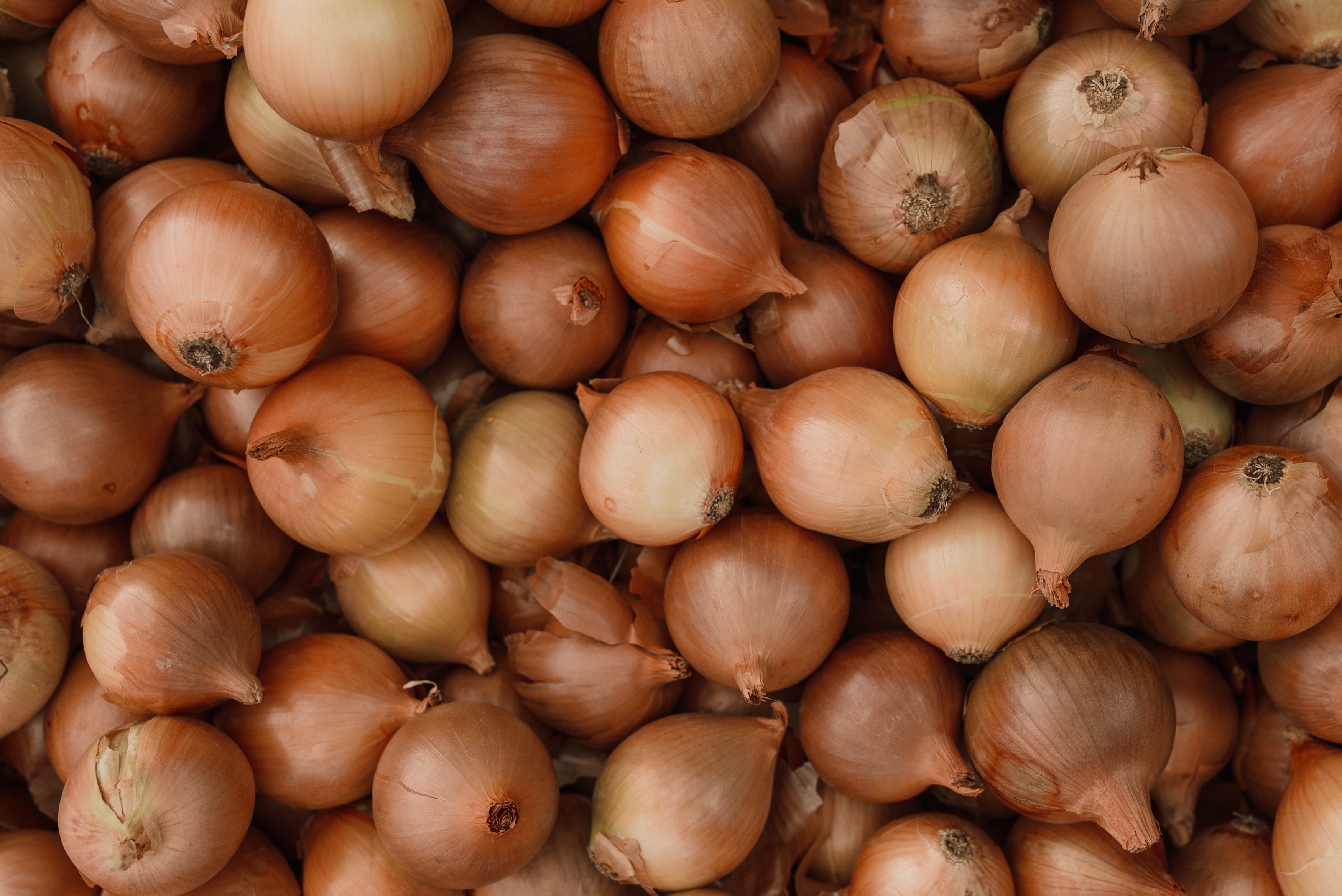 Kicking Off Spring/Summer Onion Season 2023
