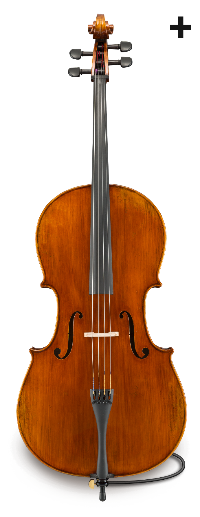 Eastman - Series Plus