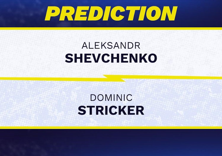Aleksandr Shevchenko vs Dominic Stricker Tennis Prediction.