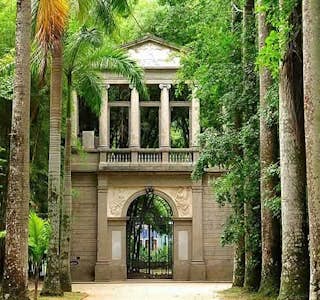 Jardin Botanique de Rio's gallery image