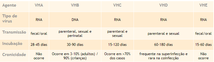 TGO e TGP elevados: o que é e quando fazer o exame