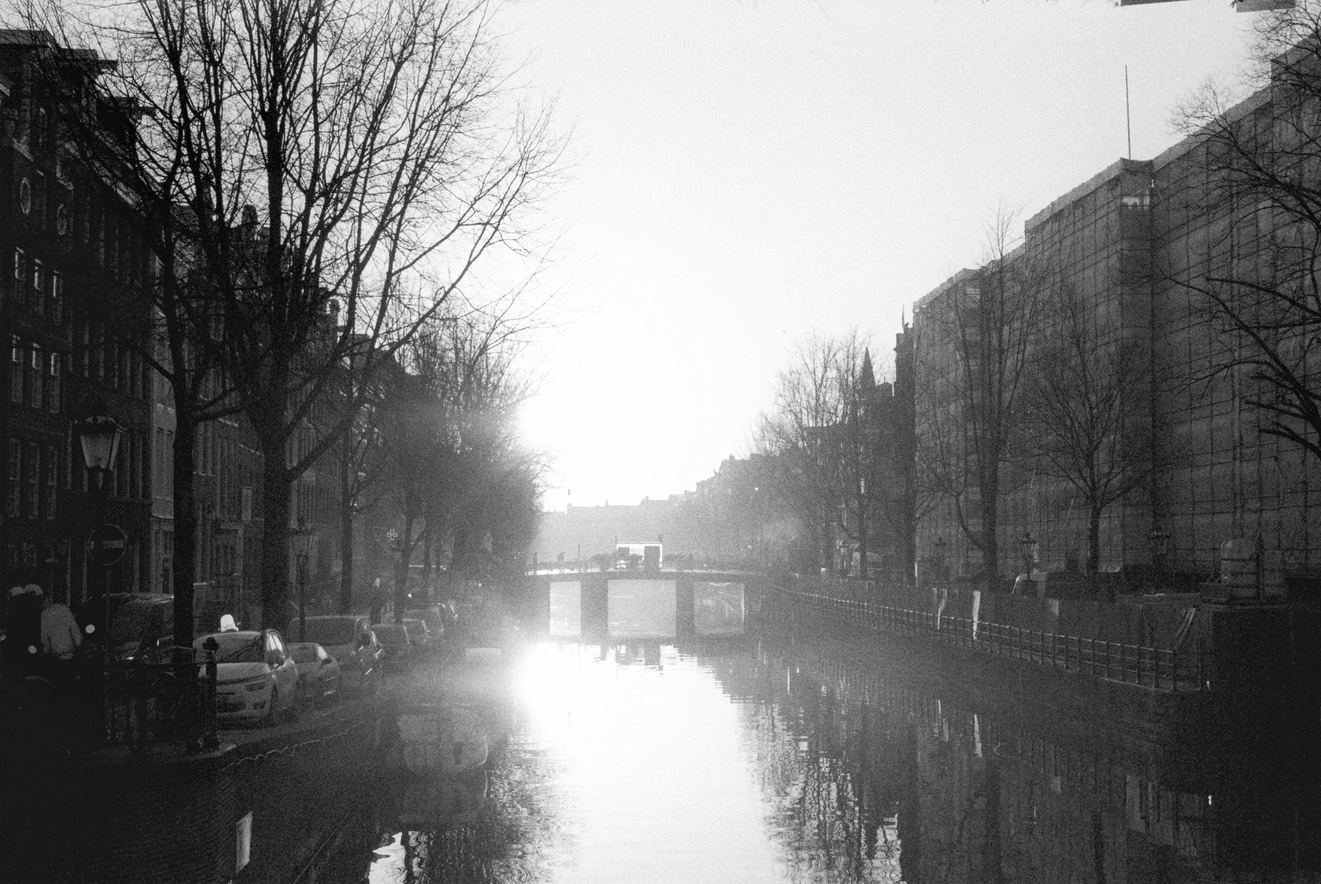 George From Camden with Alex Who?