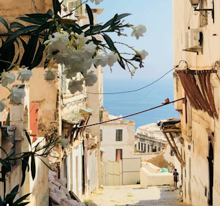 Walking Tour In The Casbah 's gallery image