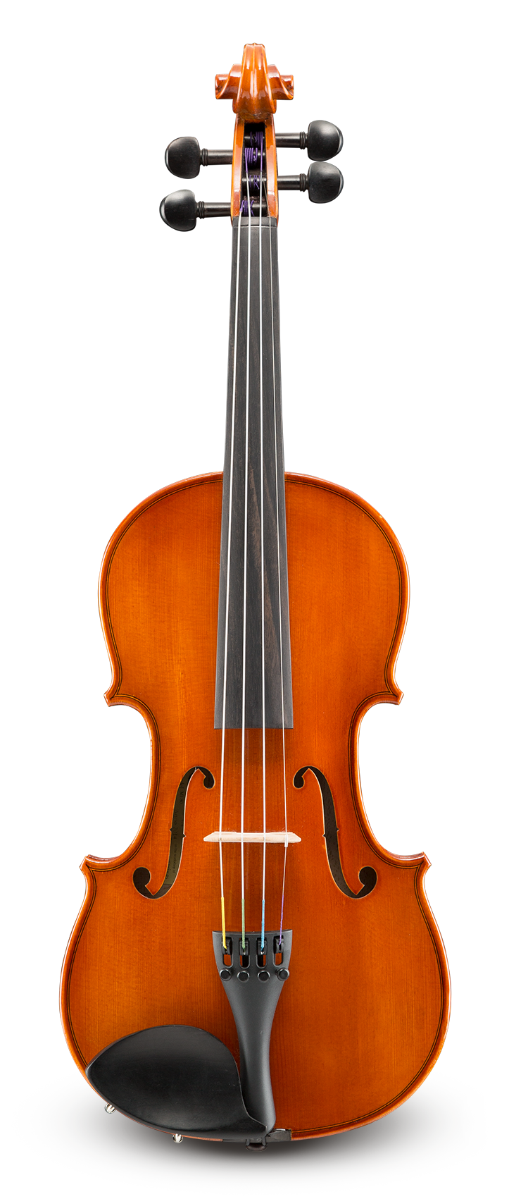 オーダ品Eastman strings イーストマン 子供バイオリンVL80 1/16 弦楽器