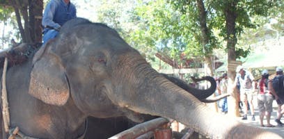 My trip to Chiang Mai