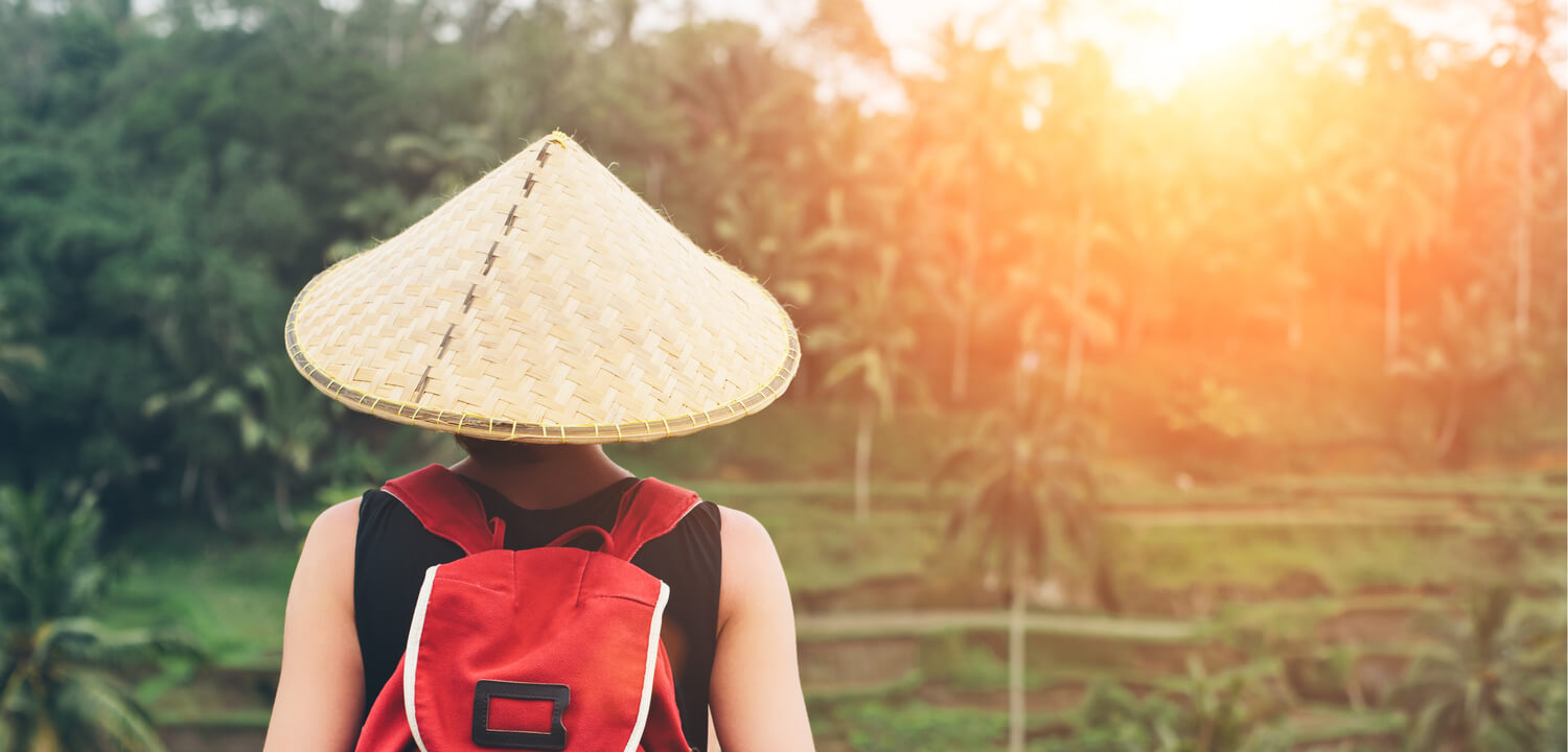 Best time to go to Vietnam (month by month comparison)