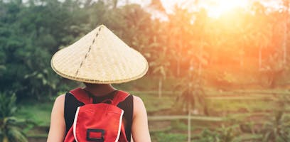 Best time to go to Vietnam (month by month comparison)