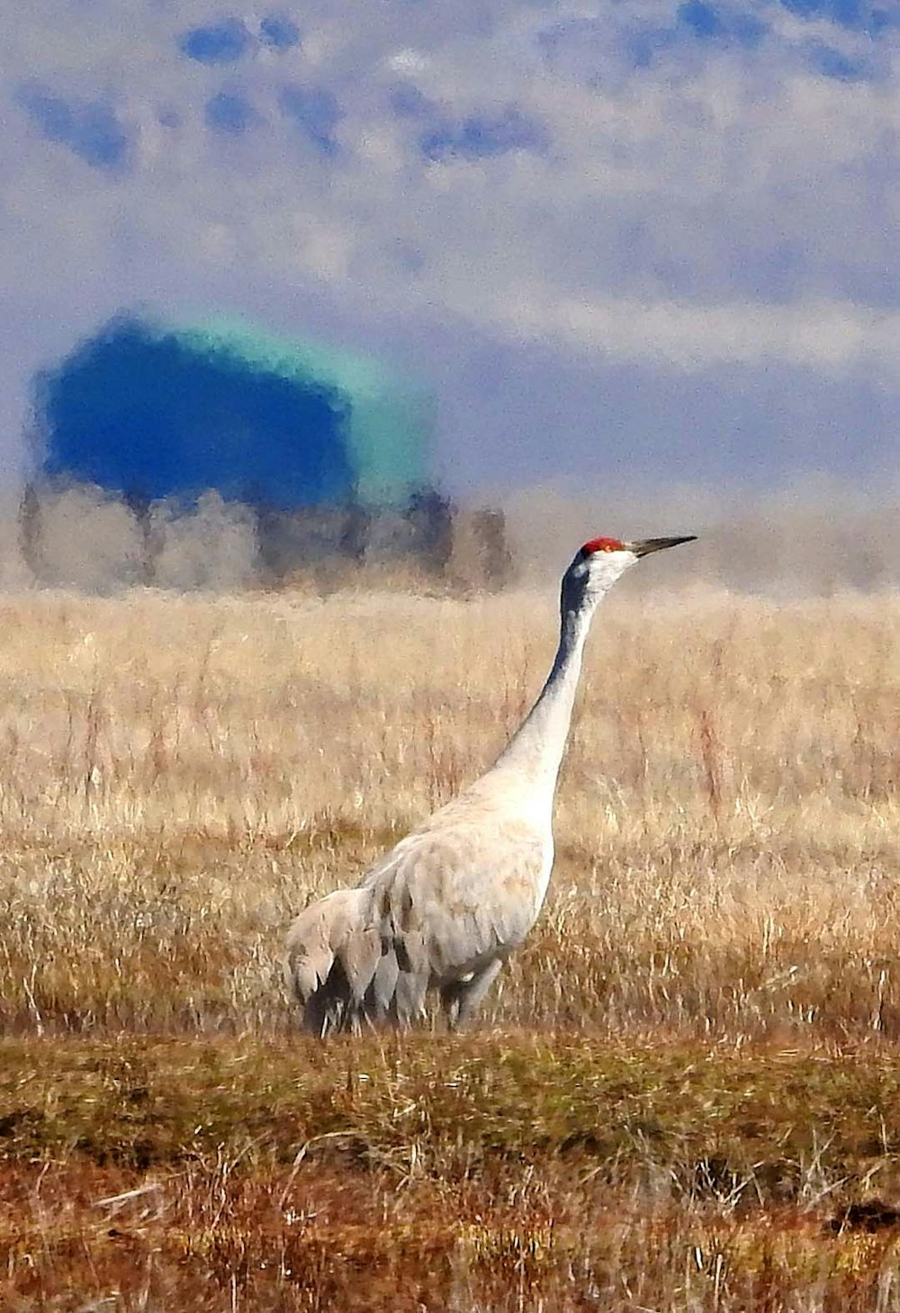 ks20240328_1.jpg