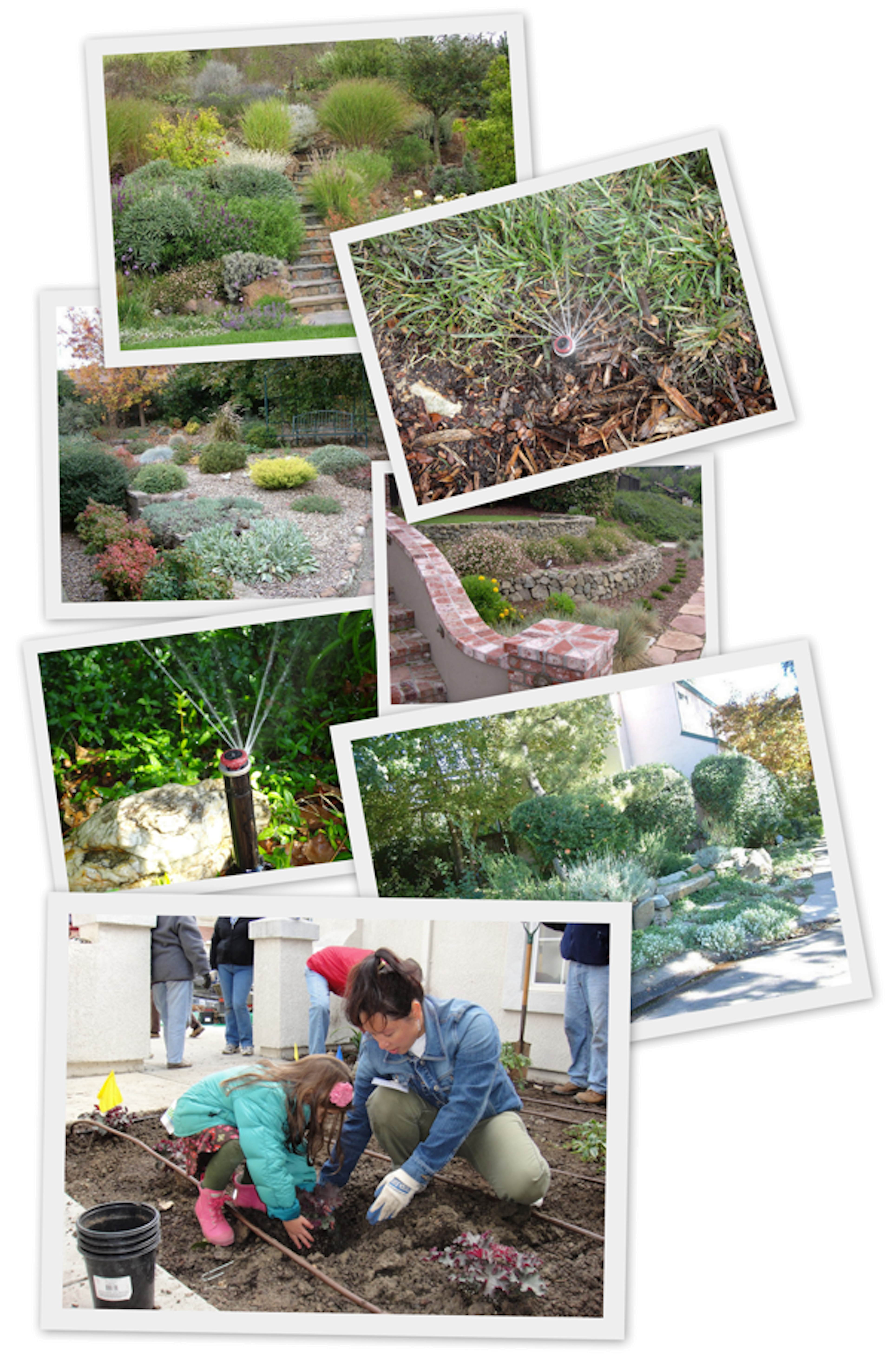 Landscaping Photo Collage