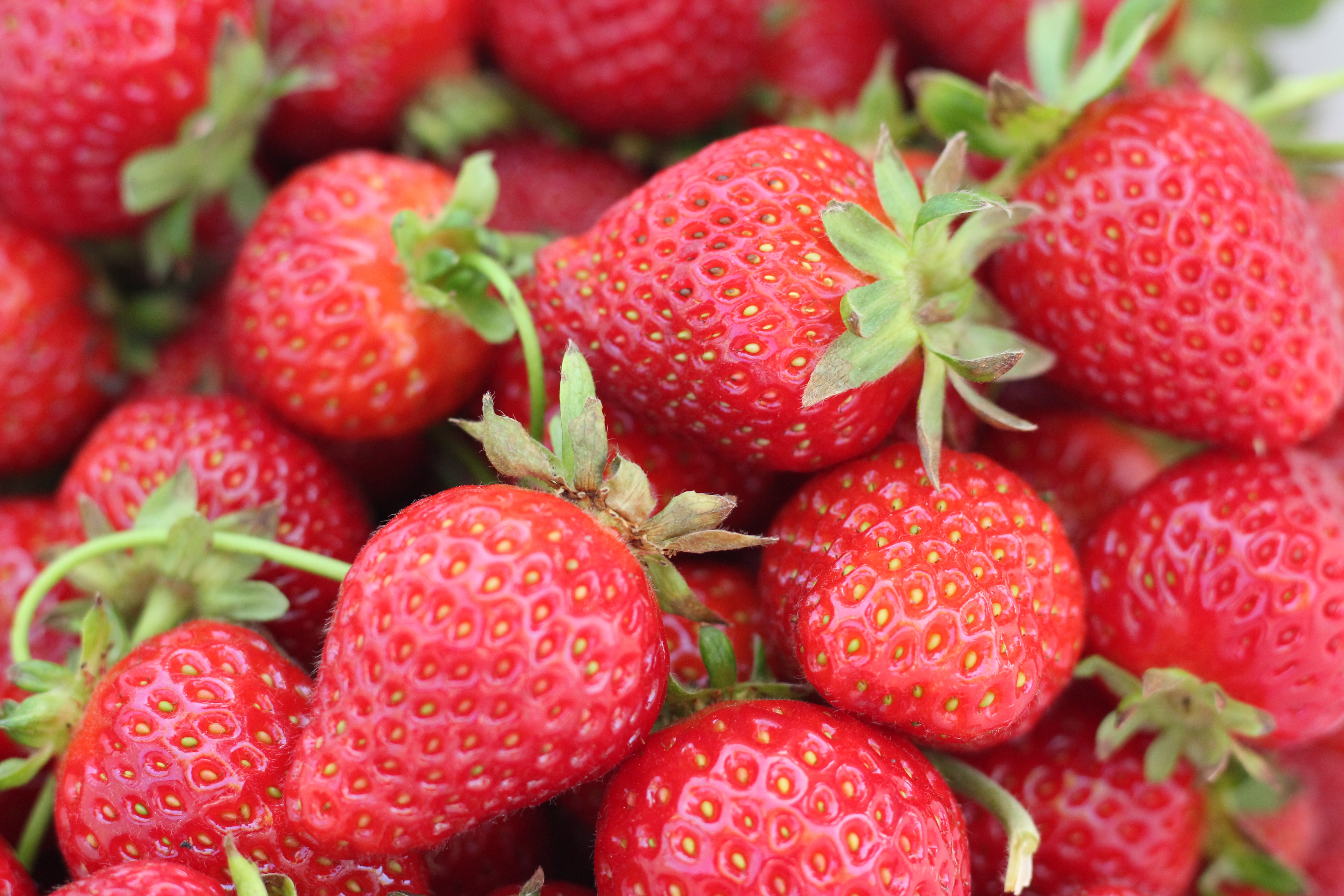 4 Ways High Consumer Demands Are Met During Strawberry Season