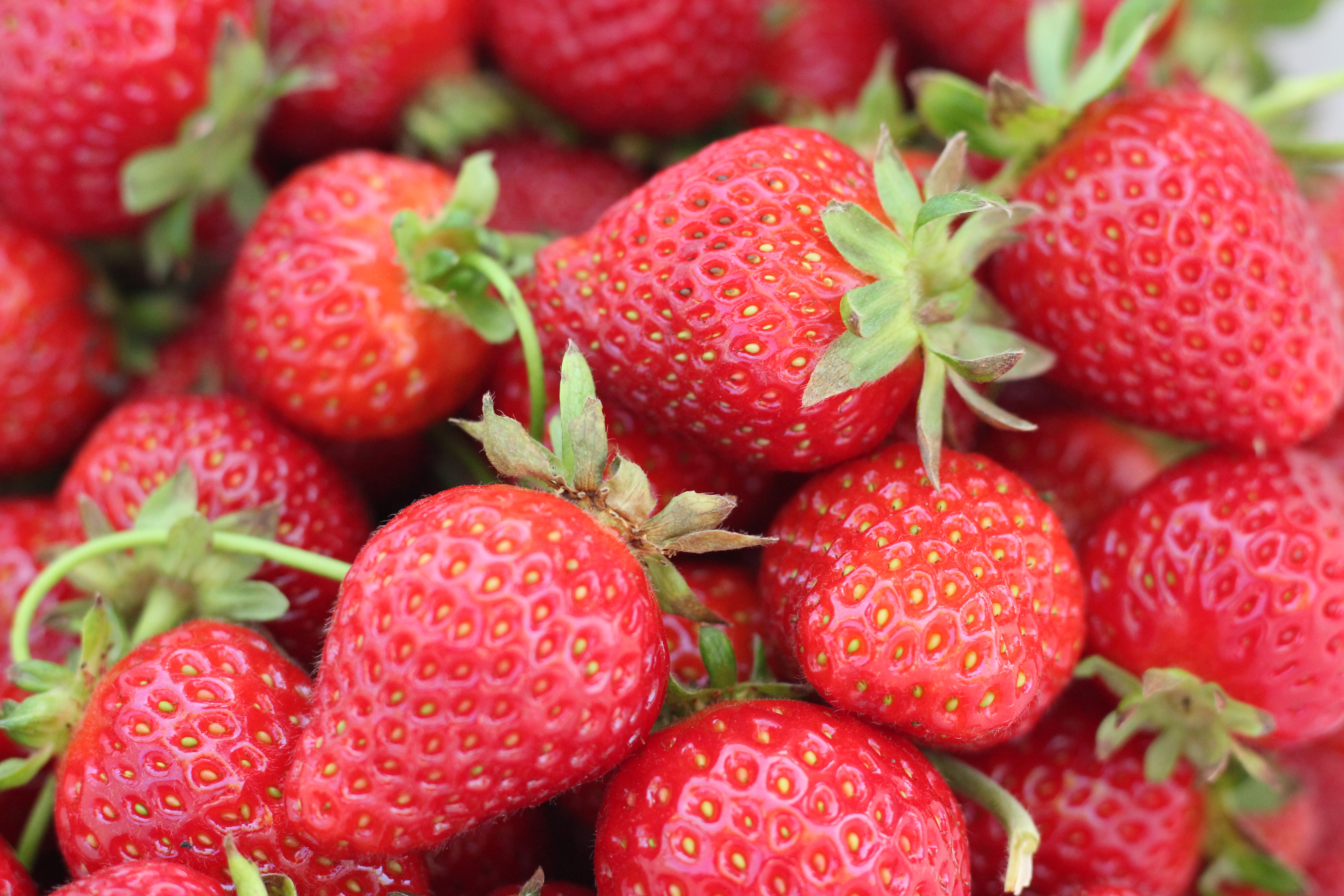 4 Ways High Consumer Demands Are Met During Strawberry Season