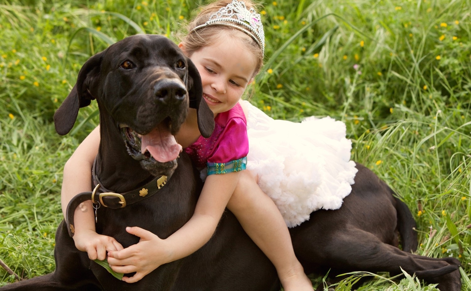 little girl in princess costume hugging black great dane outdoors
