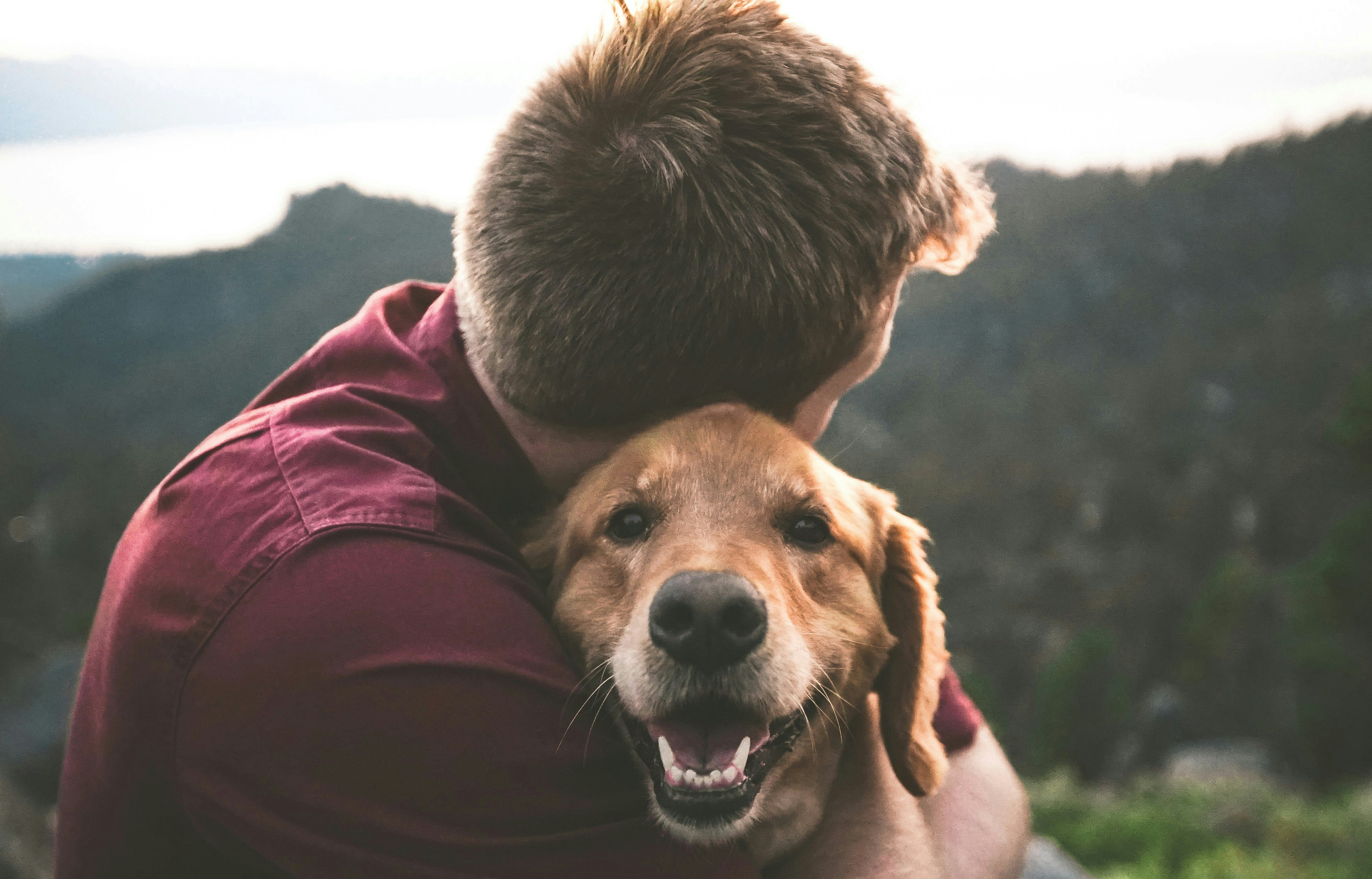 Man and lab retriever