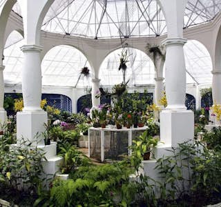 Jardin Botanique de Rio's gallery image