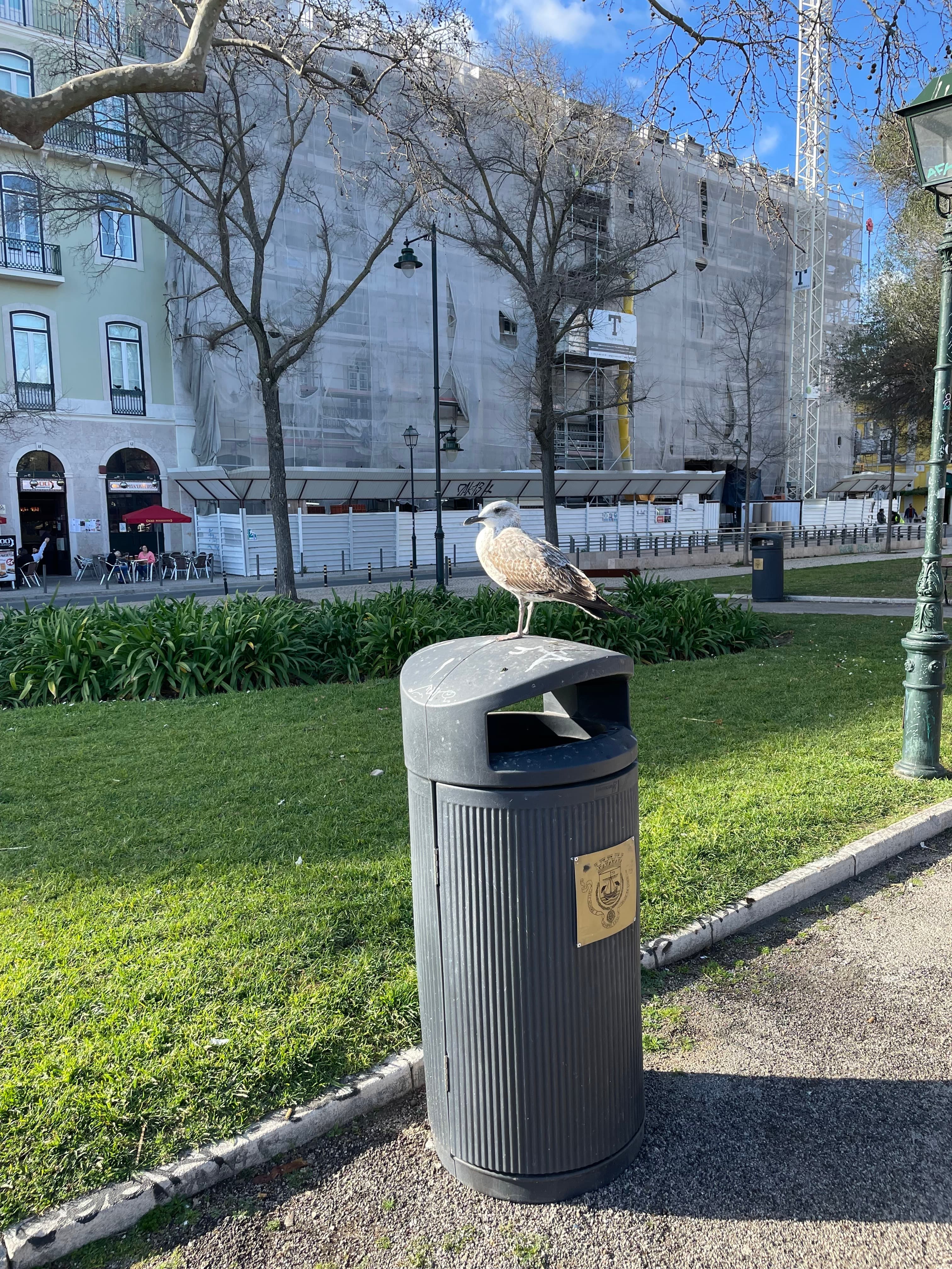 Mothership Connection: Pete BBE