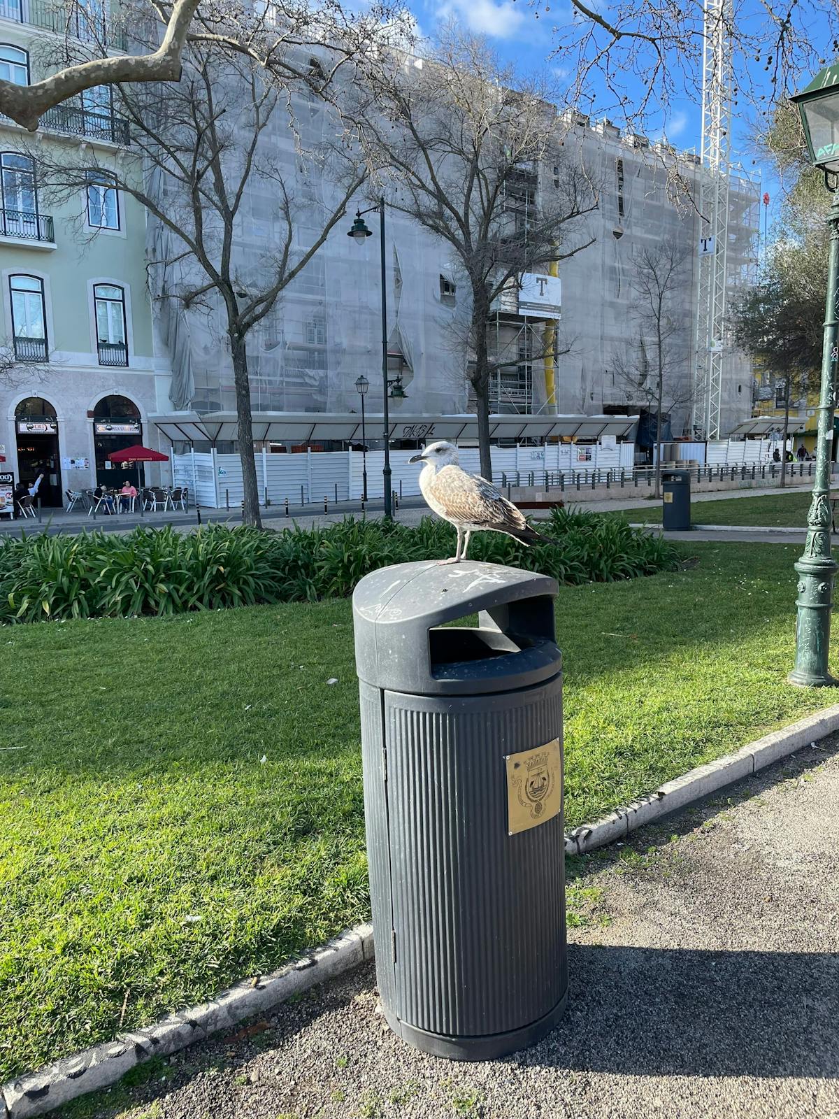 Mothership Connection: Pete BBE