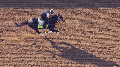 BetMGM Enters Kentucky, Partners with Revolutionary Racing Kentucky